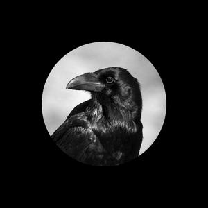 荷兰少妇XXXX做受6
