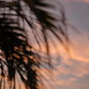 荷兰少妇XXXX做受6
