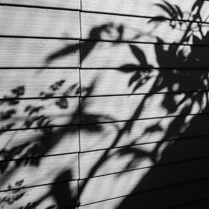 荷兰少妇XXXX做受6
